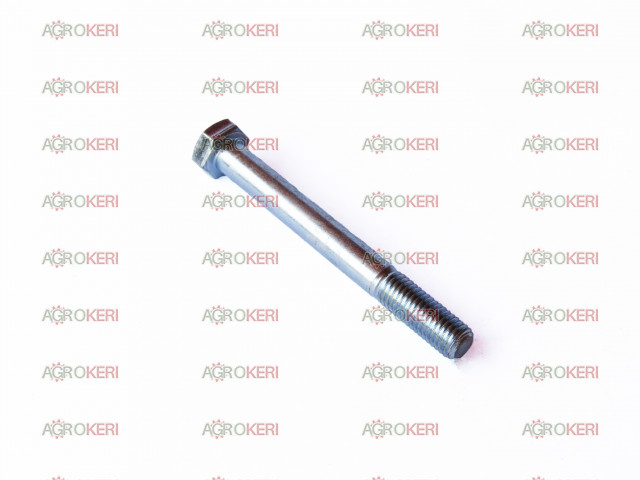 Schraube M12X110
