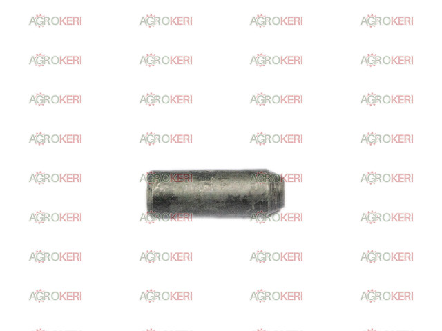 MTZ stift (kuplungházba, 14x31 mm)