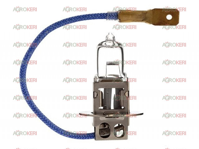 izzó 12V H3 100W PK22s