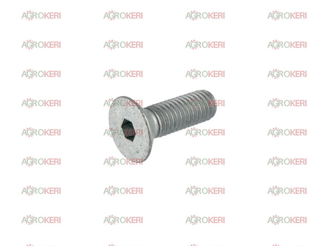 Lemken Süllyesztettfejű csavar M10x30 10.9