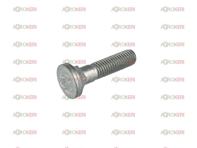 Lemken Süllyesztettfejű csavar M10x45x4 12.9