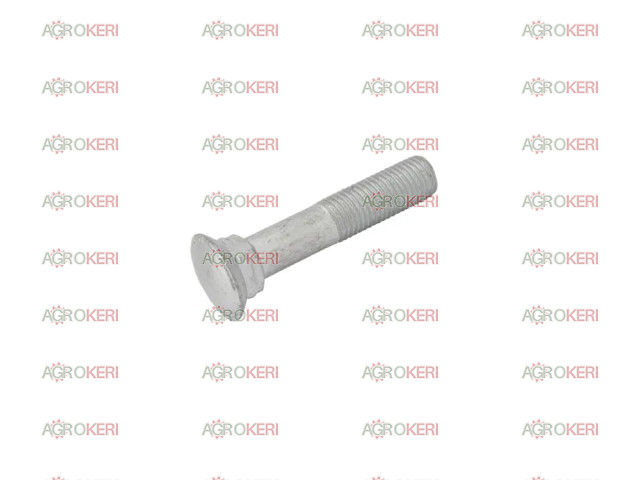 Lemken Sülly.fe. cs M16x80-10.9 Zn