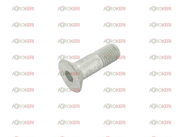 Lemken Süllyesztettfejű csavar M16x50
