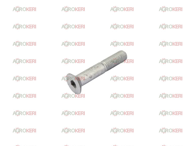 Lemken Süllyesztettfejű csavar M16x90 10.9 DIN7991