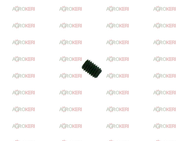 MON SCHRAUBE OHNE KOPF HC DURCHM 4 LG 6mm