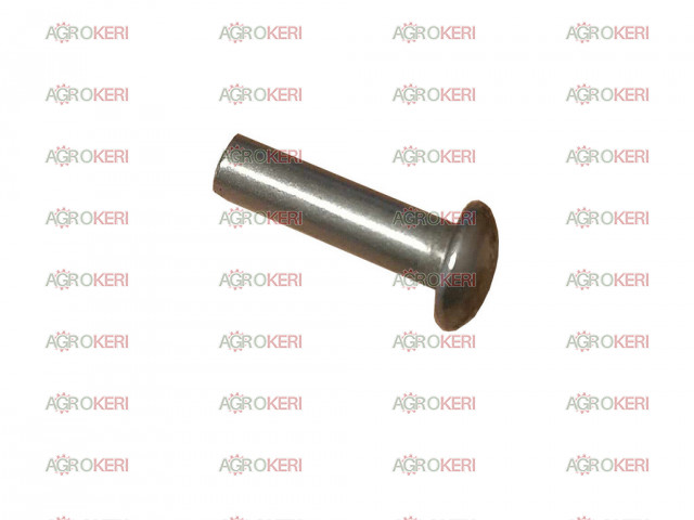 Niete für Düngerschar, 6x25 Halbkugelkopf, Stahl, Monosem